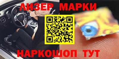 шишки Можга