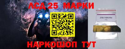шишки Можга