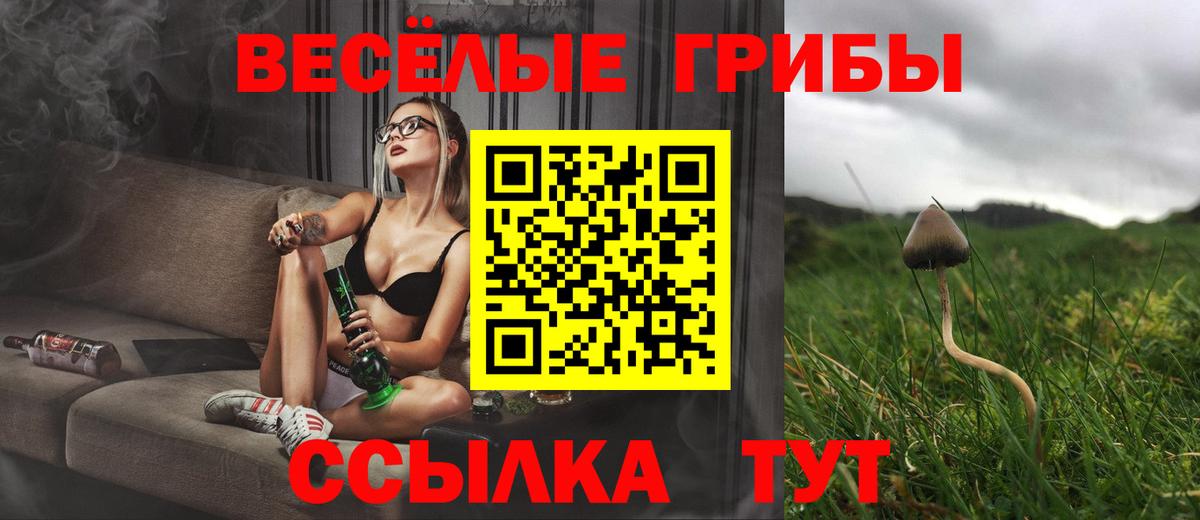 хочу наркоту  Вход с VPN  Галлюциногенные грибы GOLDEN TEACHER  Чусовой  Псилоцибиновые грибы прущие грибы 
