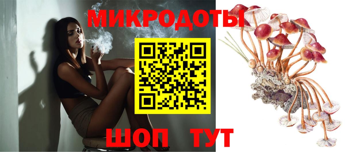 Галлюциногенные грибы Psilocybine cubensis Чусовой